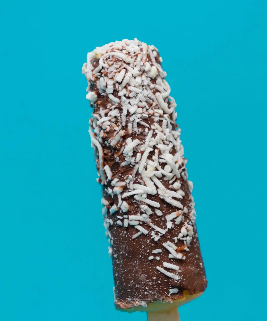 Paleta Burbuja