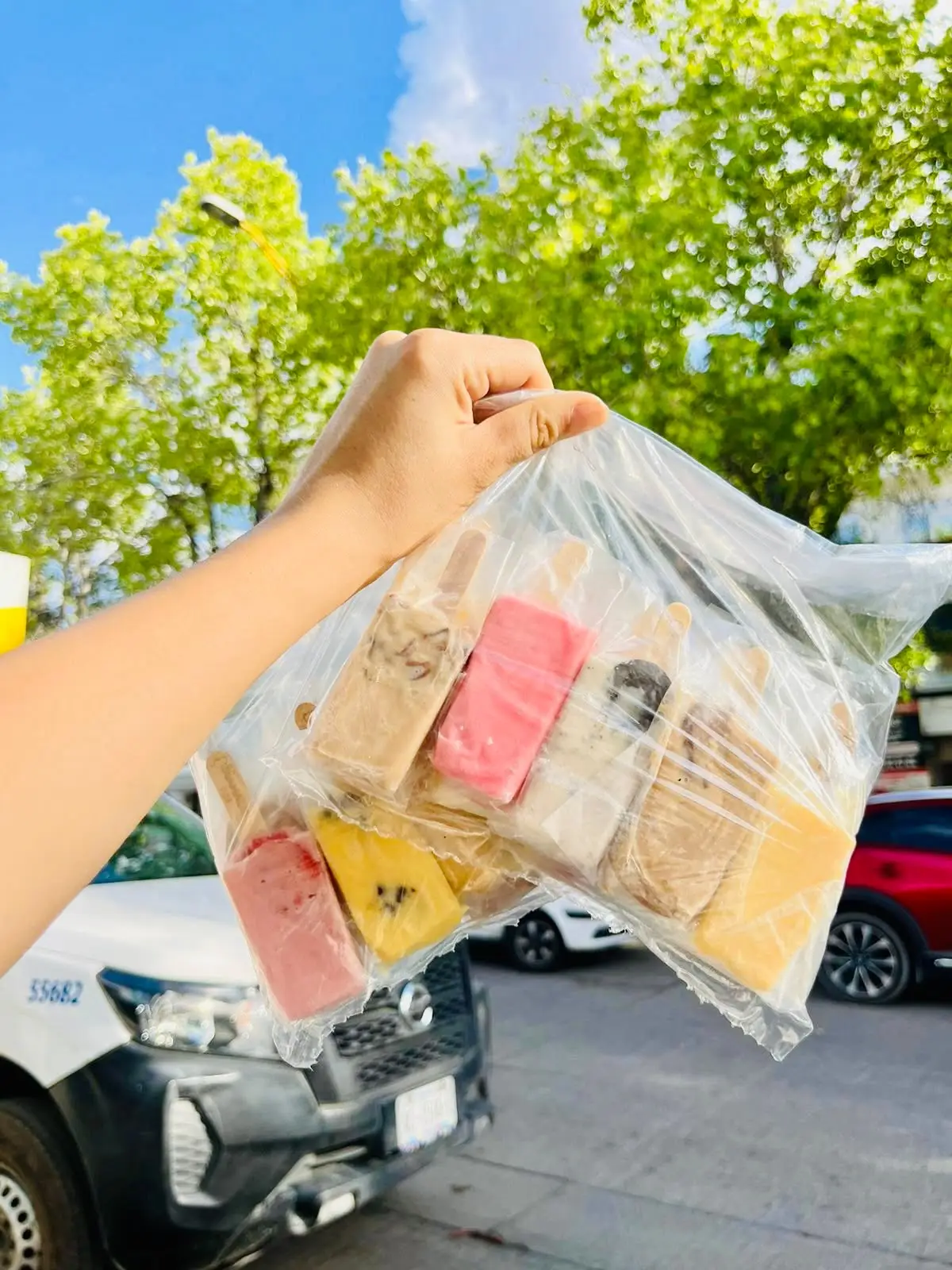 Paleta Mini