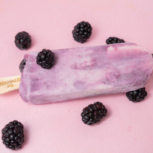 Paleta Gourmet de Yogurt