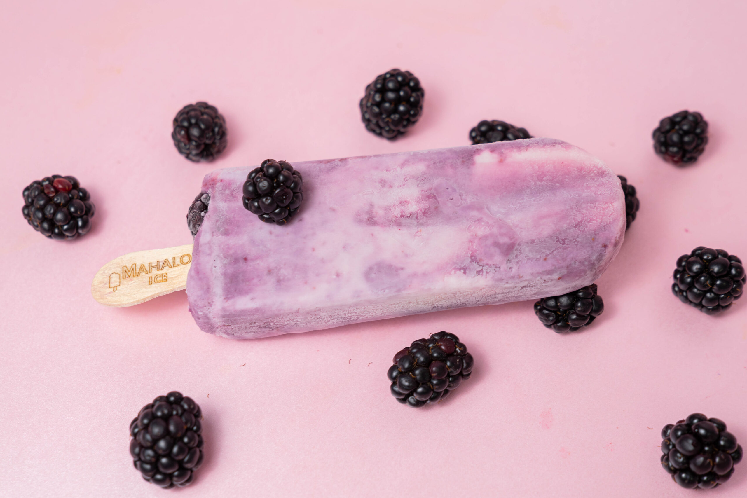 Paleta Gourmet de Yogurt