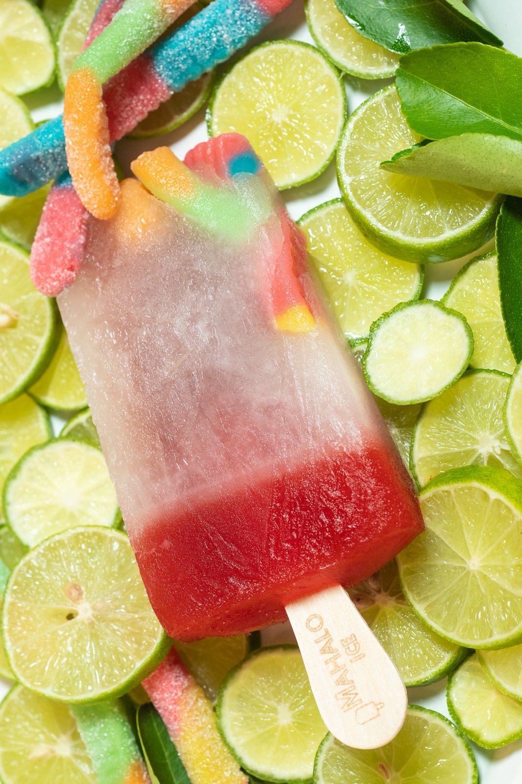 Paleta Gourmet de Agua
